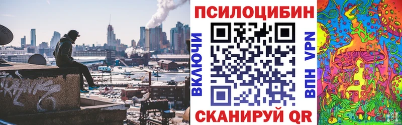 Псилоцибиновые грибы мицелий Мглин