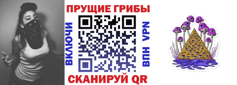 Галлюциногенные грибы GOLDEN TEACHER  Купить закладки  Мглин 
